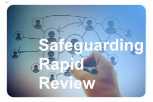 rapid review